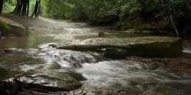 The Cook Forest Vacation Bureau is on Facebook