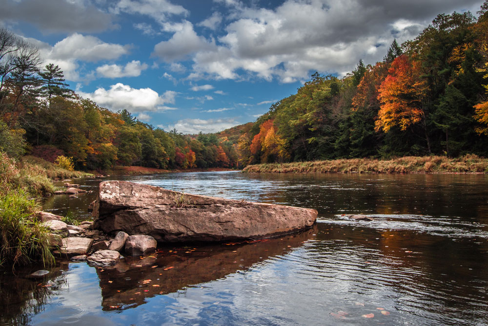Autumn scenery in the Cook Forest and Clear Creek area